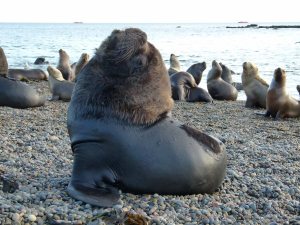 FOTO - ich bin sooo schön.